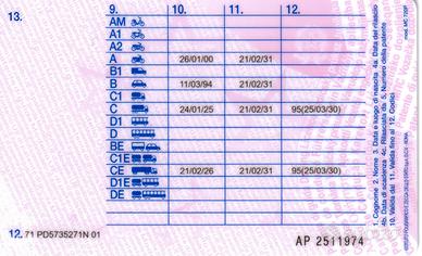 Autista patente C+CQC+(CE prima esperienza)