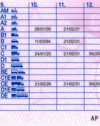 Autista patente C+CQC+(CE prima esperienza)