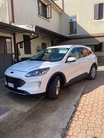 FORD Kuga 2ª serie - 2021