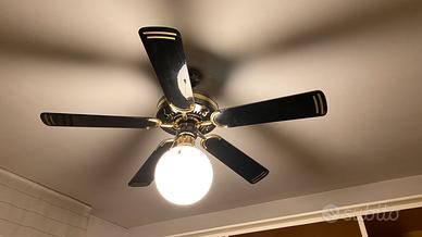 Ventilatore con luce