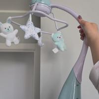 Giostrina chicco per next2me