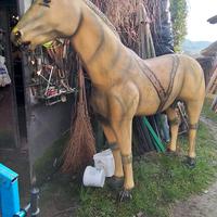 cavallo plastica 