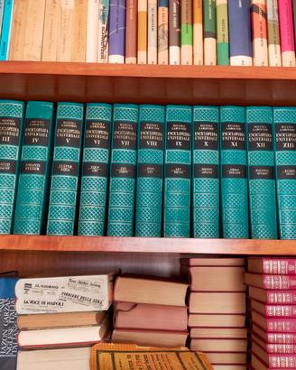 Enciclopedia Universale Rizzoli Larousse - 15 vol