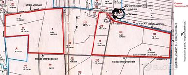 Terreno agricolo seminativo e oliveto