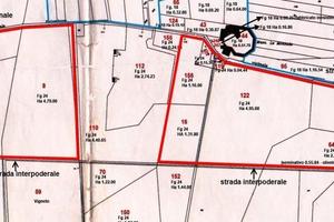 Terreno agricolo seminativo e oliveto