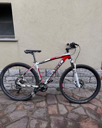 MTB Lee Cougan Revenge 29