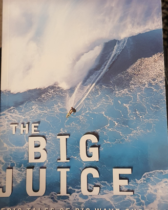 The Big Juice John Long Sam George FalconGuides