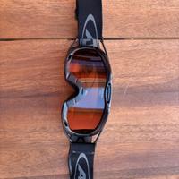 Maschera da sci Alpina