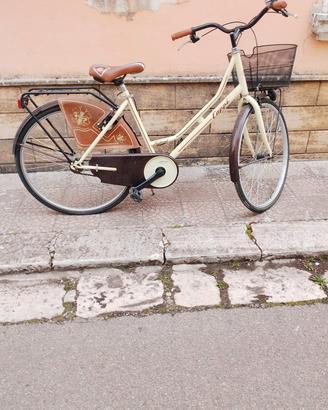 bici con cestino