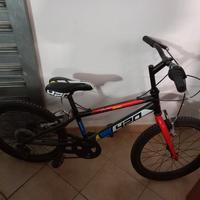 2 Mountain Bike Bambino 20"–Una con Cambio Shimano