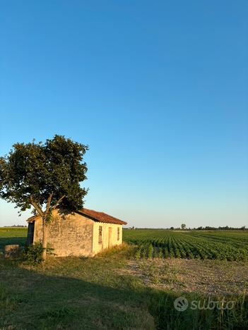 Terreno agricolo/edificabile