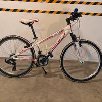 Bici Bottechia