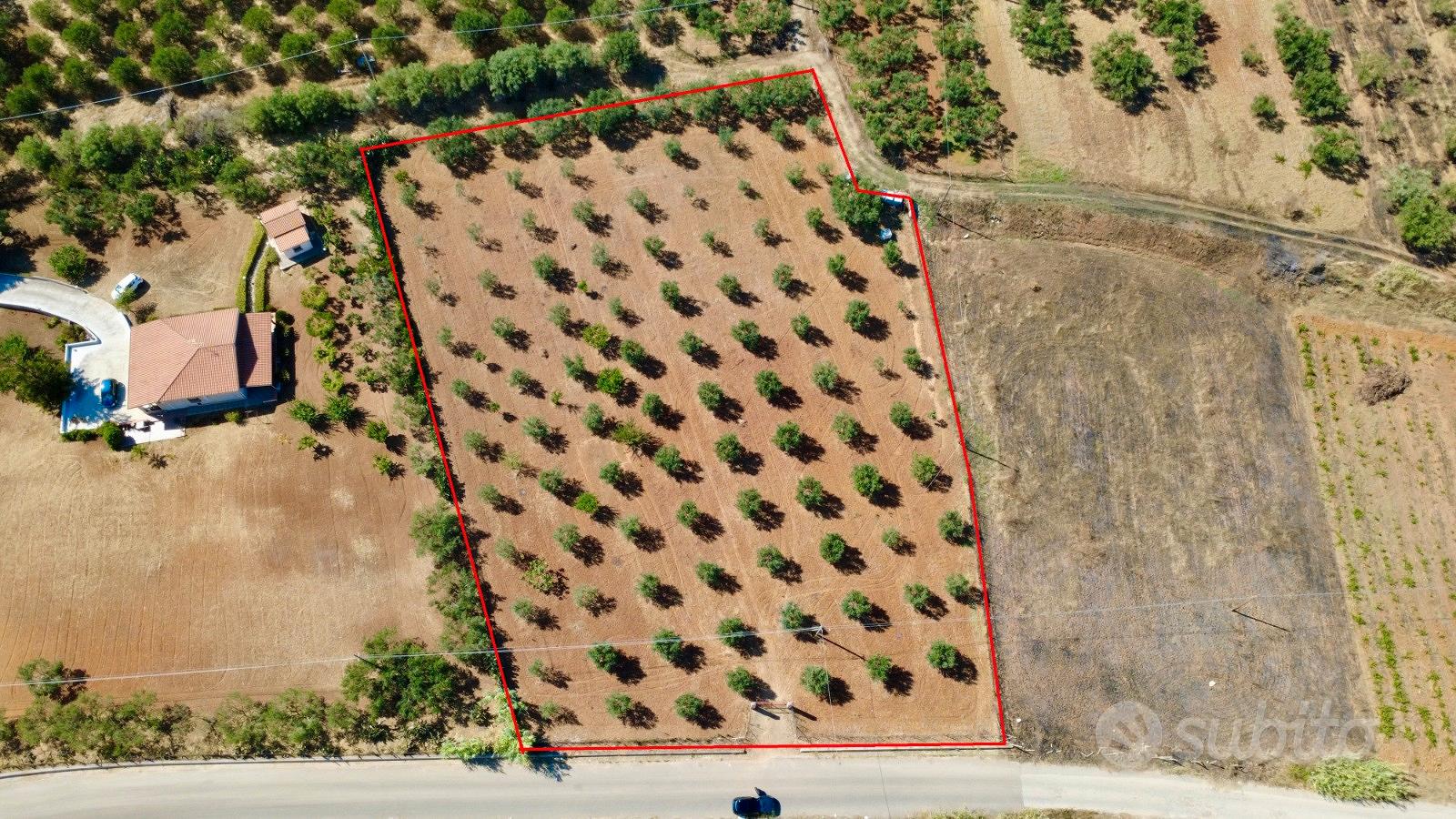 Terreno agricolo a Partinico, Contrada Campo - Vista 2