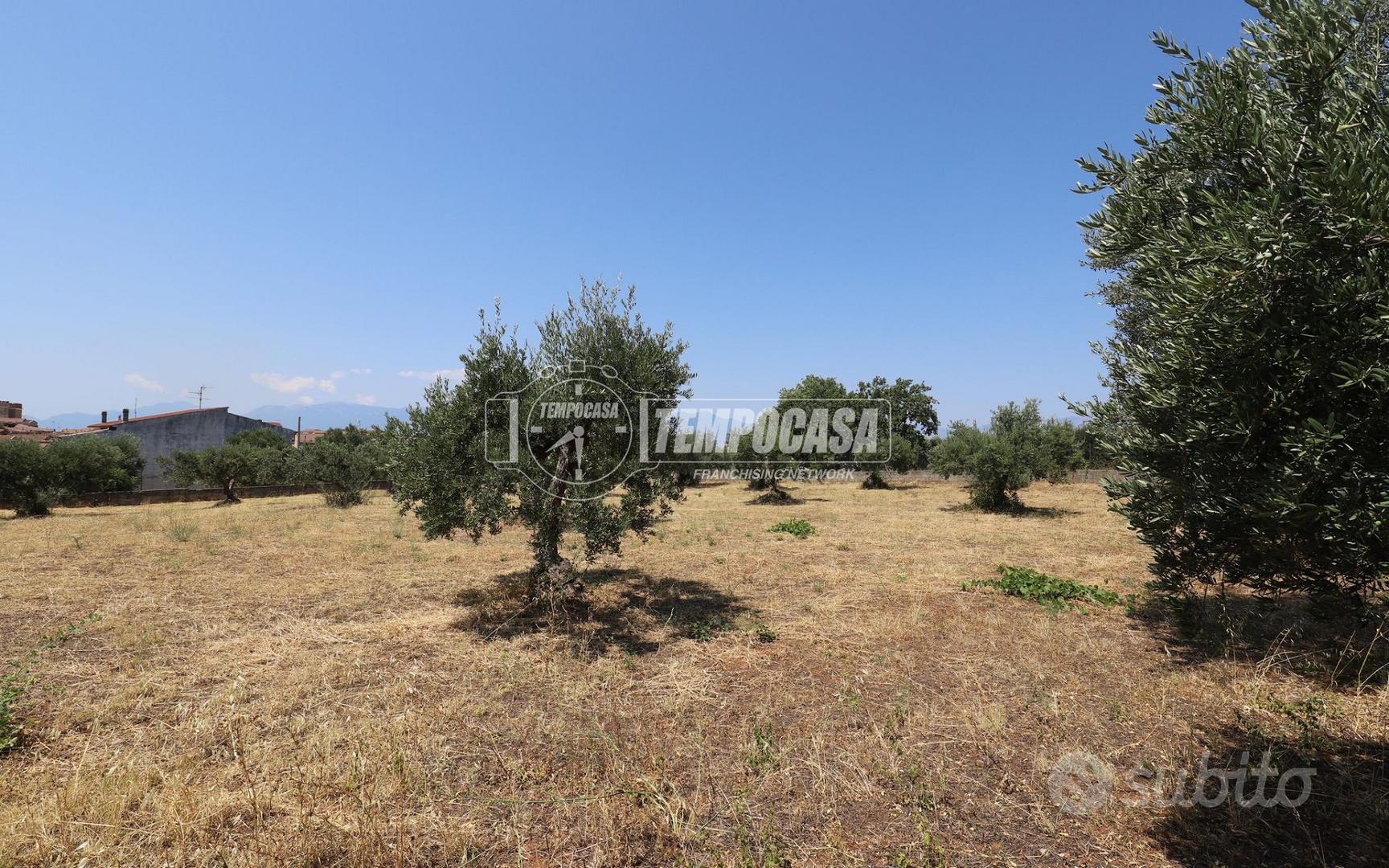 Terreno Edificabile - Vista 5