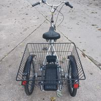 Bicicletta elettrica tre ruote 