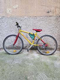 Bici DETTO PIETRO da ragazzo MTB