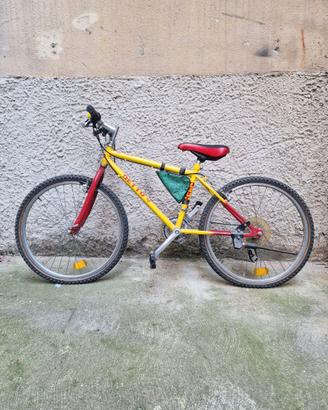 Bici DETTO PIETRO da ragazzo MTB