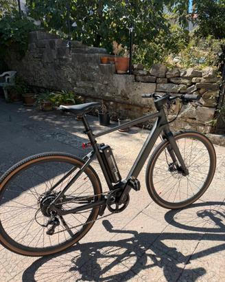 Bici elettrica Fiido