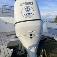 Joker 26 motorizzato 250 suzuki