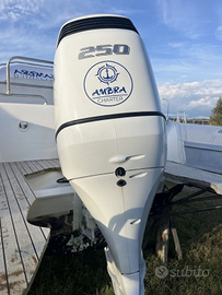 Joker 26 motorizzato 250 suzuki