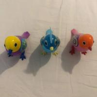 Cocoritos. Pappagallini parlanti