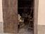 Immagine 17