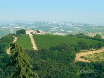 Attività / Licenza di 4515 m² con più di 5 locali 