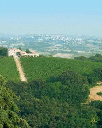 Attività / Licenza di 4515 m² con più di 5 locali 