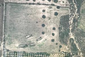 Terreno agricolo contrada zotto