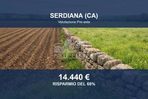 Immobile in asta di 63510 m² a Serdiana