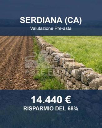 Immobile in asta di 63510 m² a Serdiana