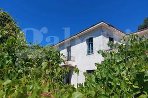 Rustico/Casale/Corte Mosciano Sant'Angelo