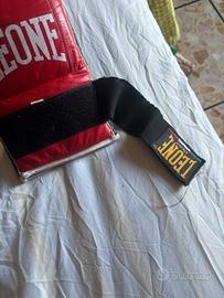Guantoni da box