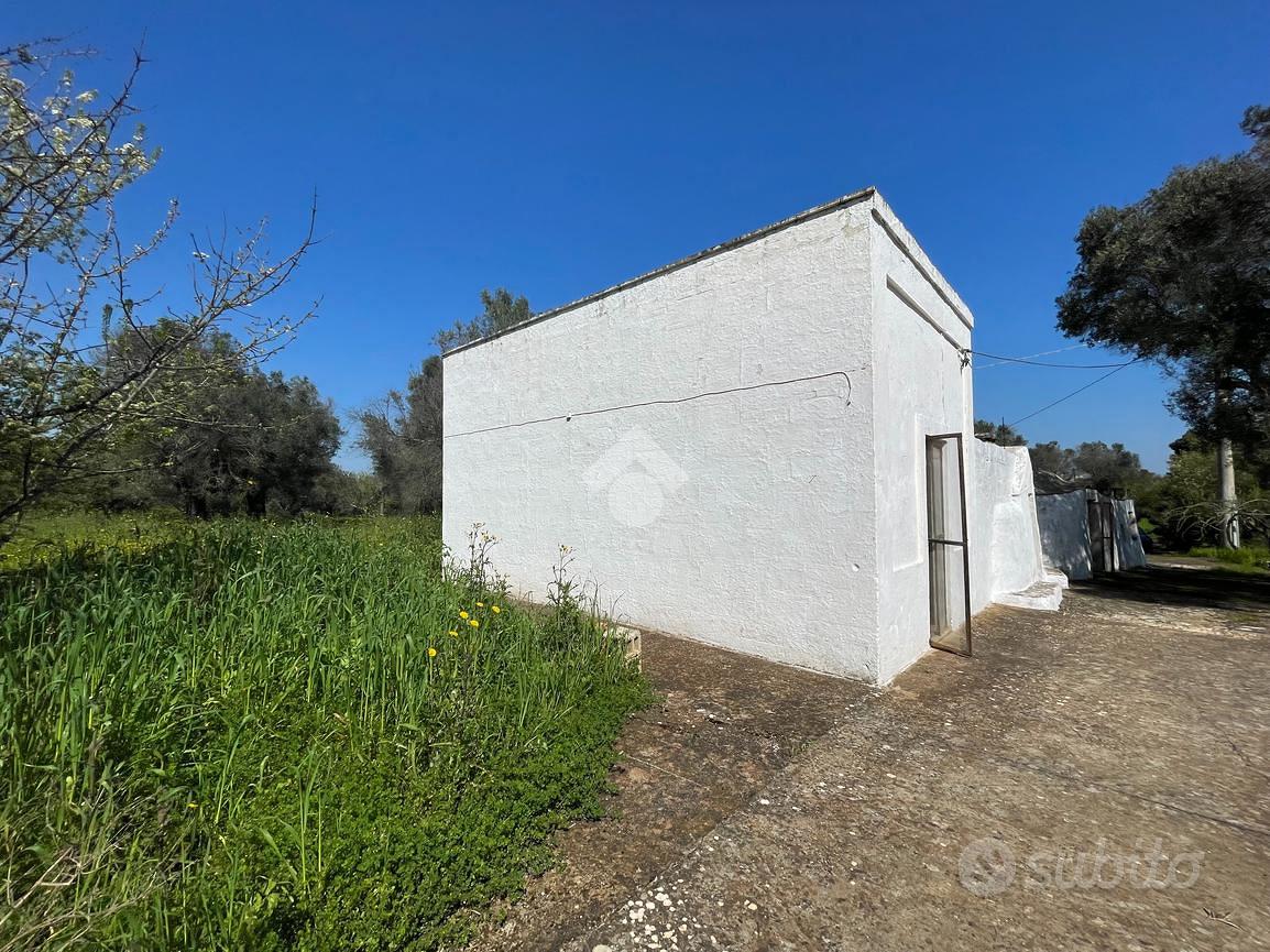 CASA DI CORTE A CEGLIE MESSAPICA - Vista 3