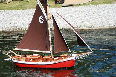 Modello DAGMAR riproduzione