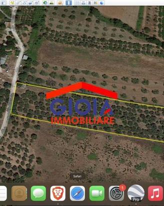 Terreno di 7100 m² a Mondragone