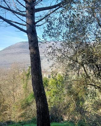 CASA INDIPENDENTE A CASTRO DEI VOLSCI