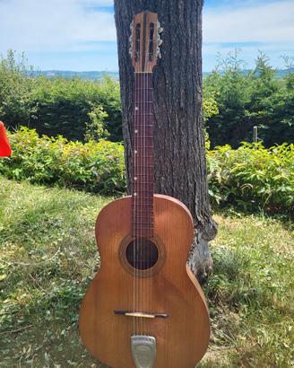 chitarra da collezione rara Francesco olivieri 
