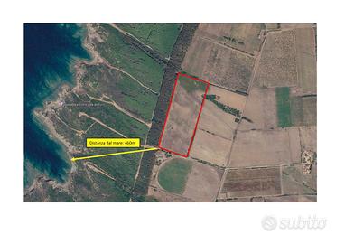 Land for sale - alghero sardinia "corea" area