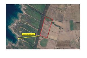 Land for sale - alghero sardinia "corea" area