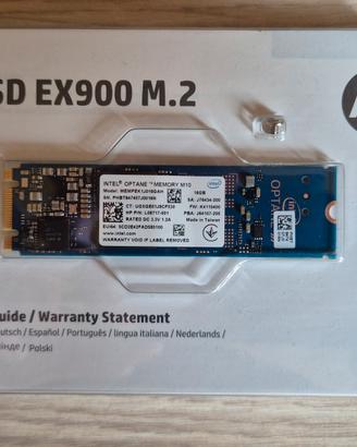 Lotto 3 SSD M.2: 2x HP EX900 + 1x Transcend 32GB 2