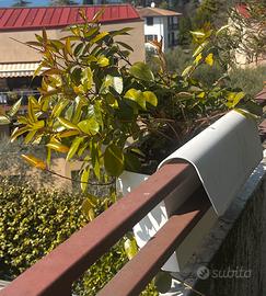 Fioriere da balcone doppie in polipropilene