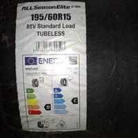 Coppia Pneumatici 195/60 R15