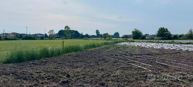 Terreno Agricolo Marmirolo