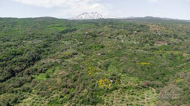 Terreno agricolo - Linguaglossa