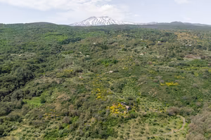 Terreno agricolo - Linguaglossa