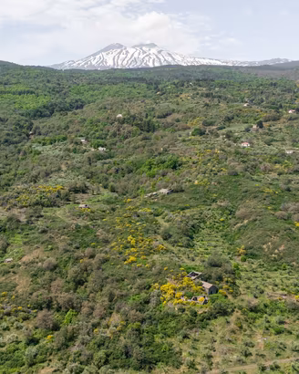 Terreno agricolo - Linguaglossa