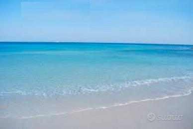 Ultime disponibilita'