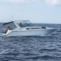 Searey Diesel duo-prop