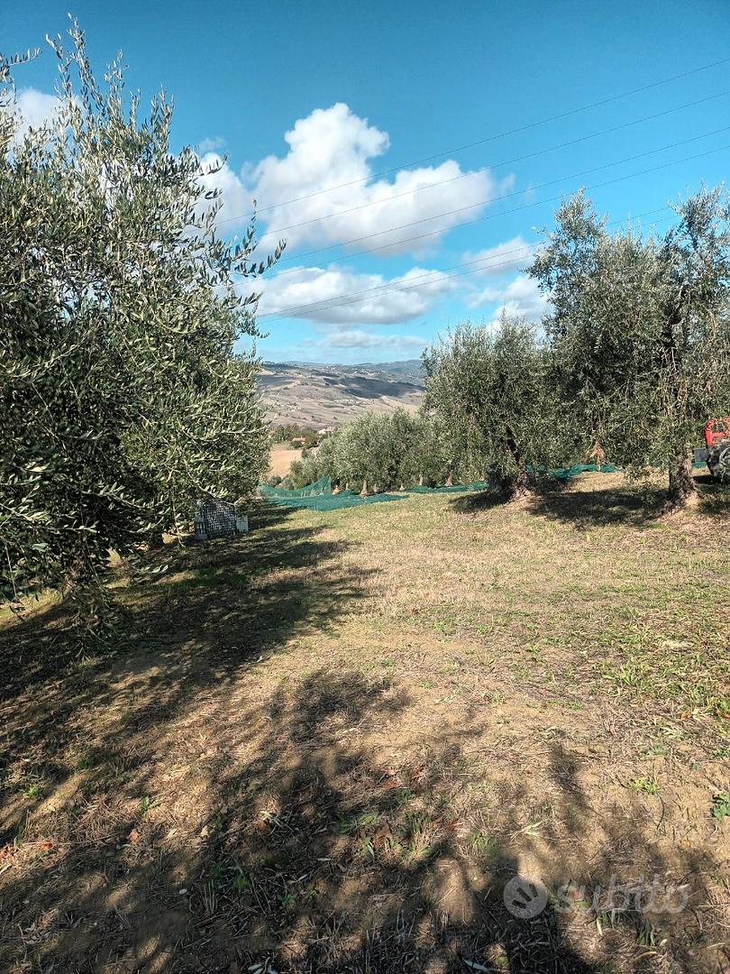 Casa – Paduli, Benevento - Altro